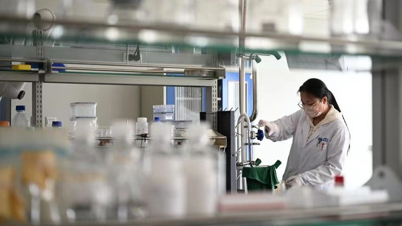 上海明胶空心胶囊：规格参数解析与选型要点**