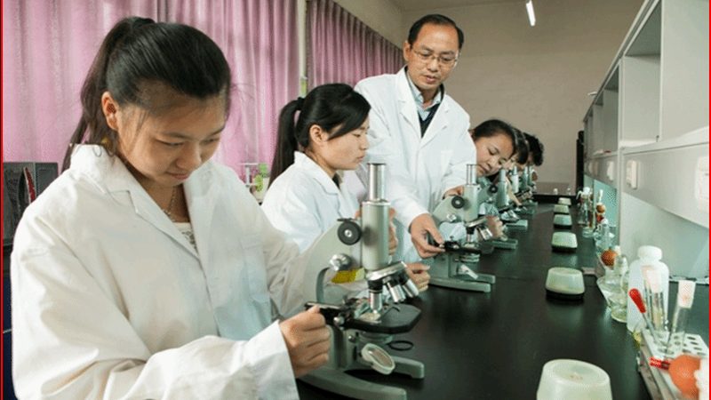 上海药用辅料代理加盟，揭秘行业关键要素