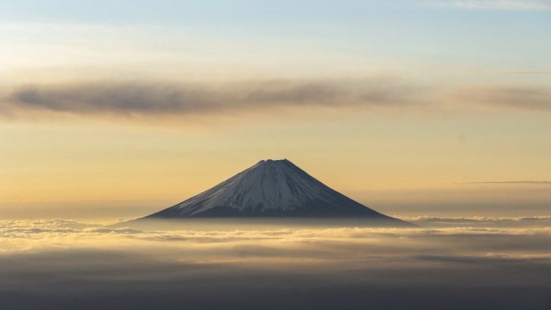 原料药登记备案：合规之路，安全之基