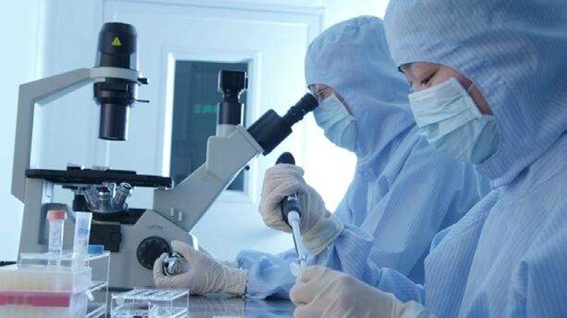 医药公司代理流程全解析：揭秘合规之路