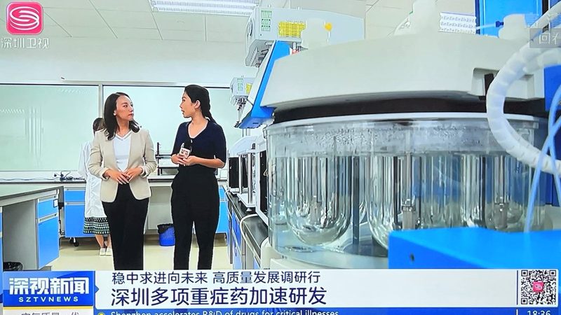 药用空心胶囊与植物胶囊：价格背后的差异解析**